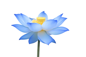 Capital Reiki Academy